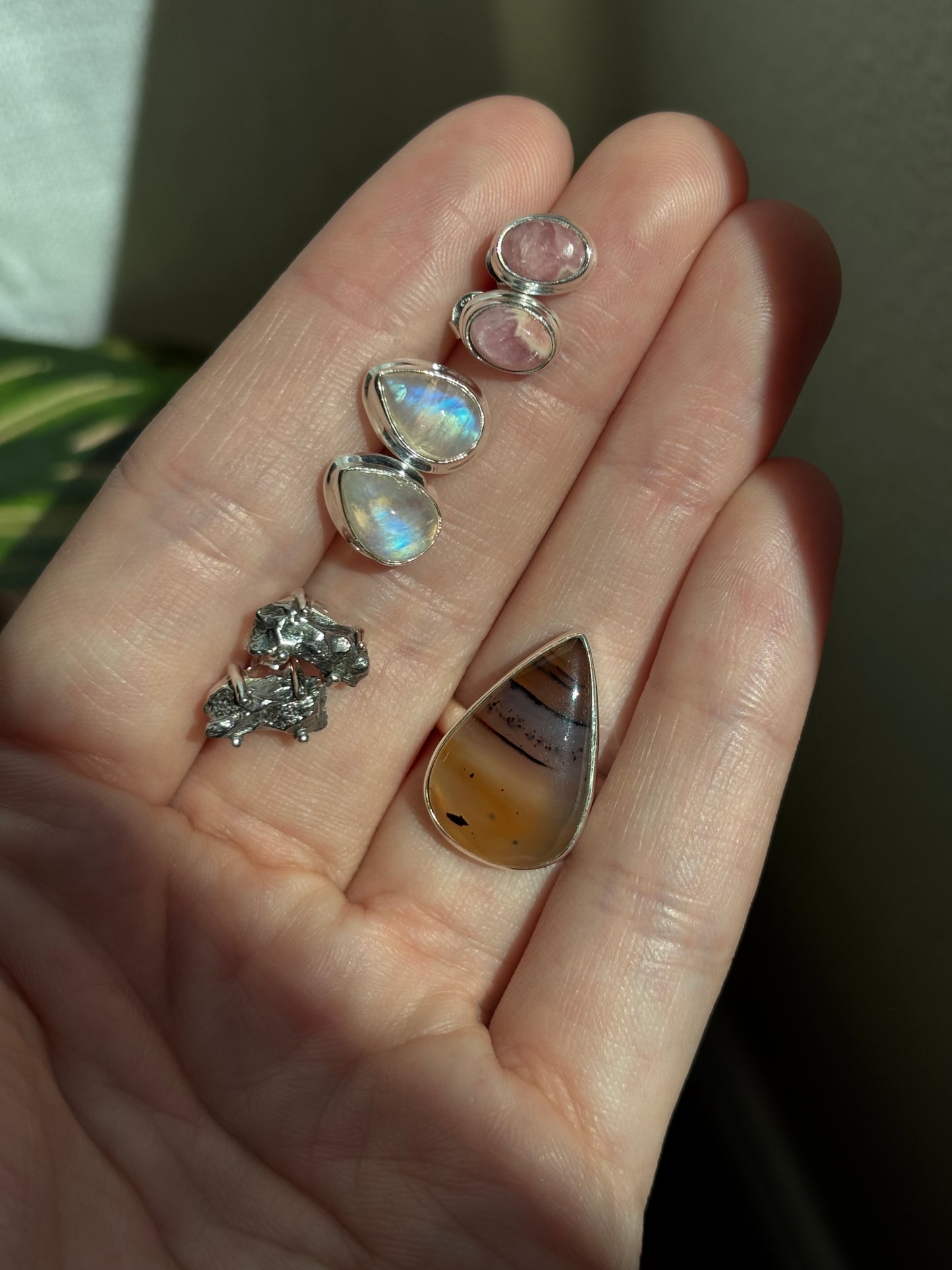 SC 🦋 7/2