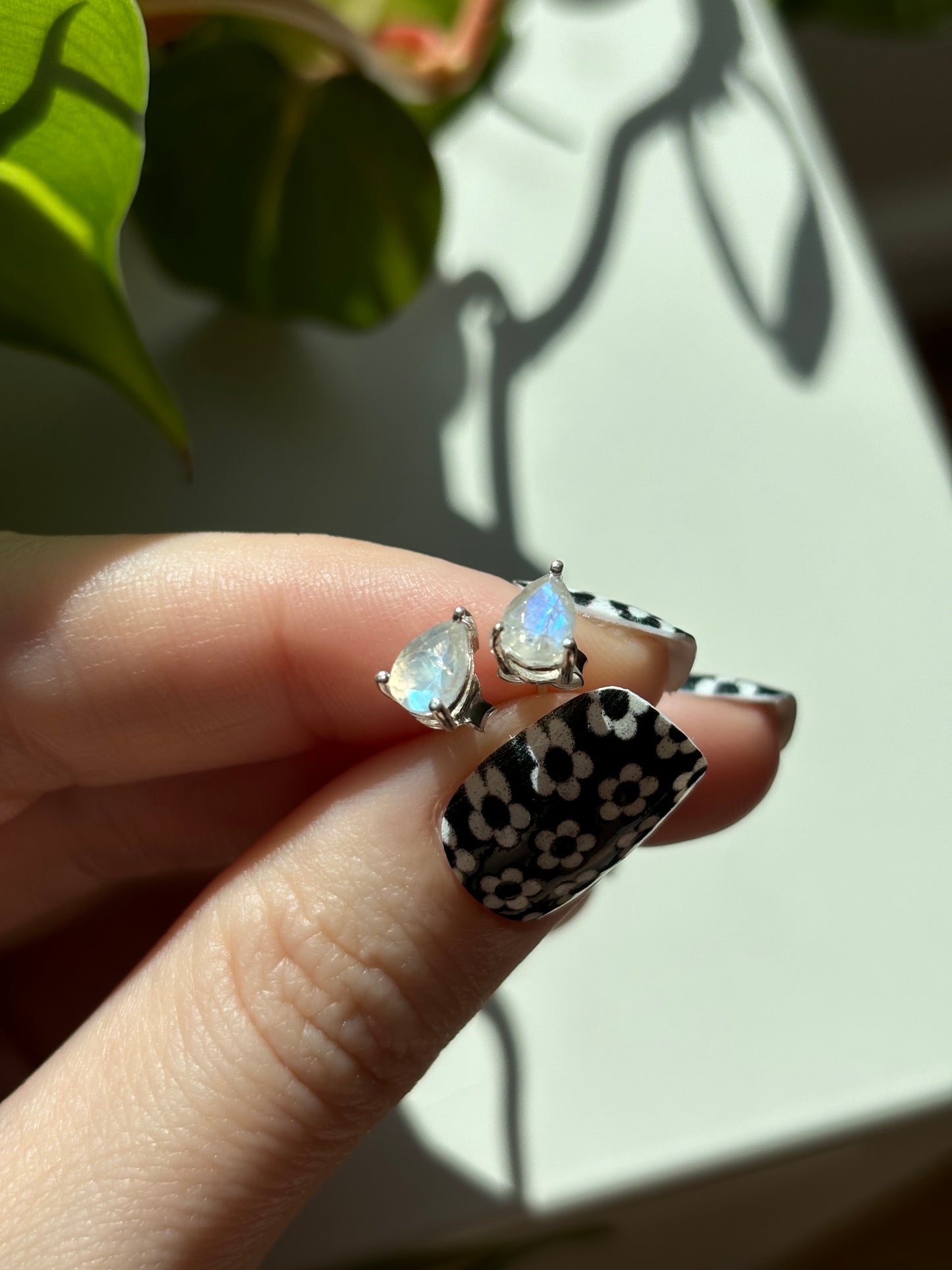 Teardrop Moonstone Studs