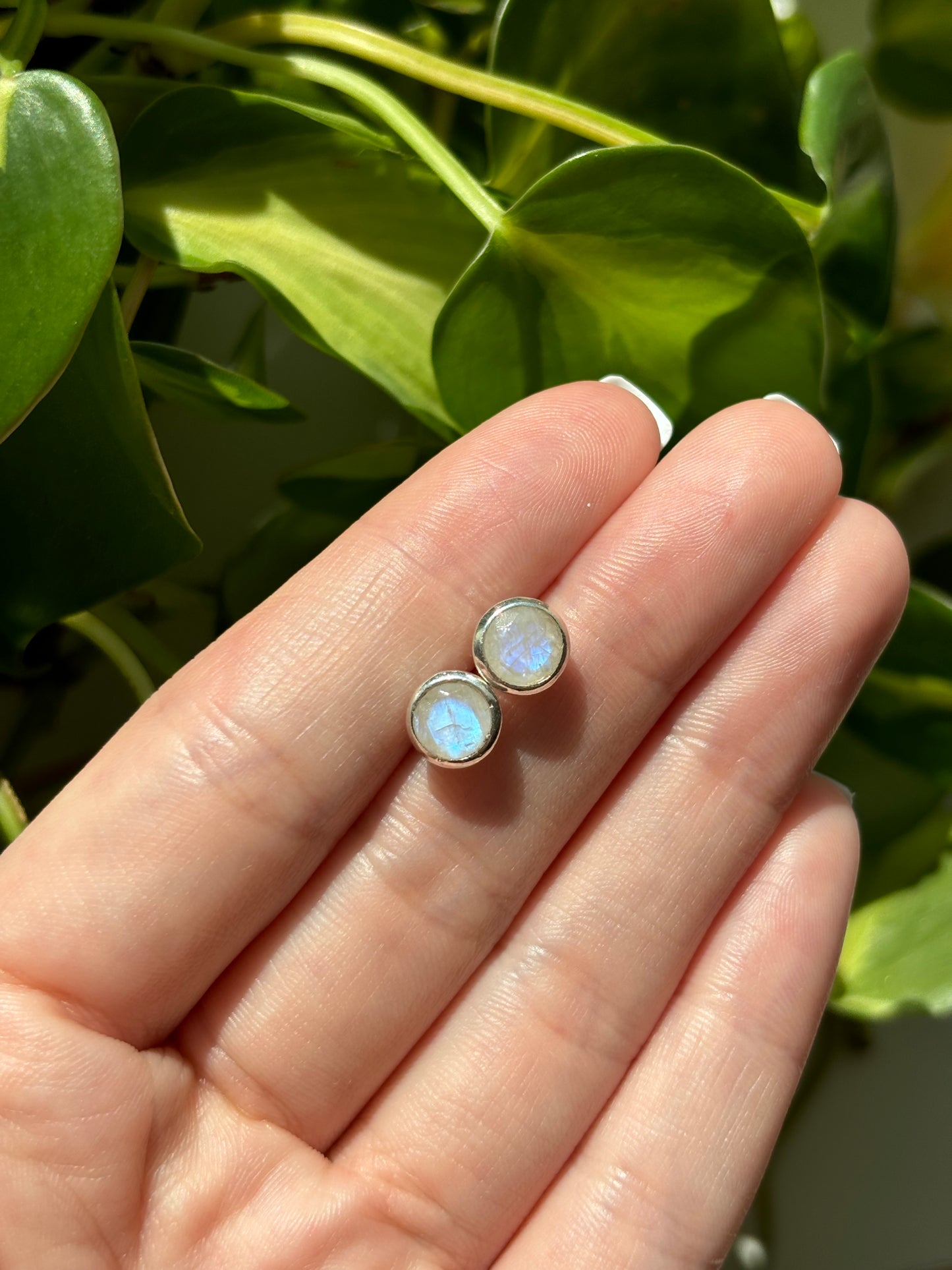 Round Moonstone Studs