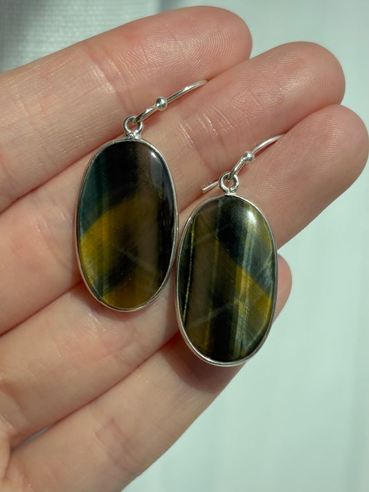 Hawk's Eye Earrings